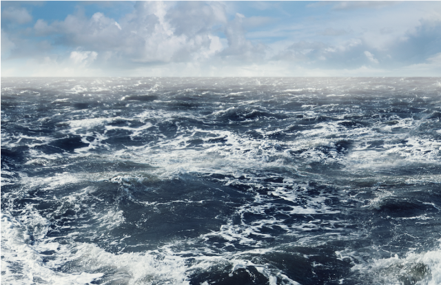 IMOが提唱するインストラクター要件を備えた国内唯一のコンサルティング会社 。